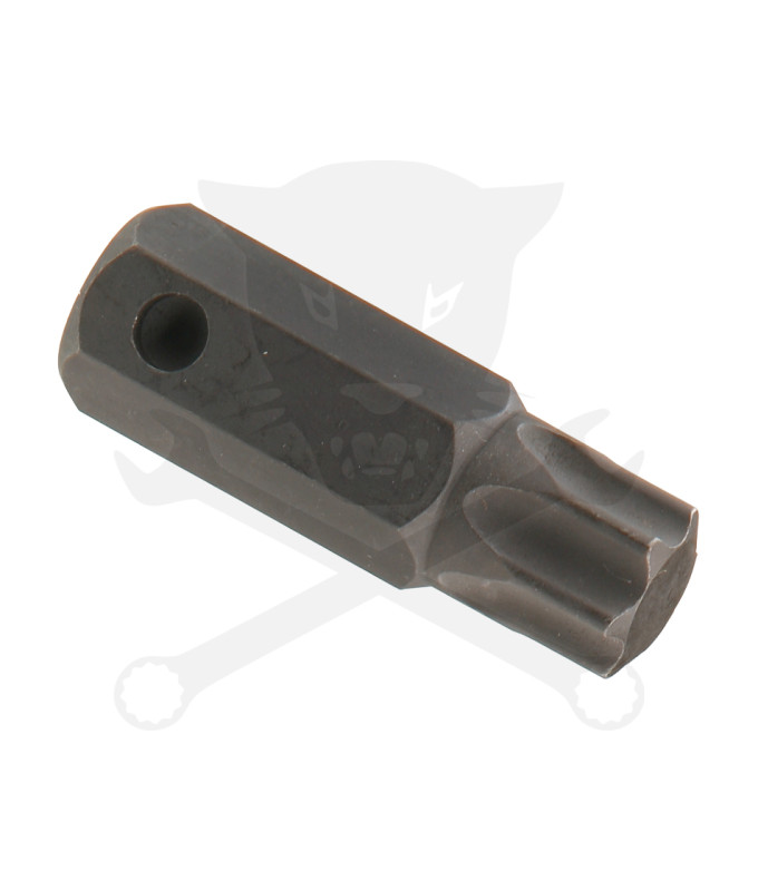 Bit torx T080-as teherautóhoz Genius