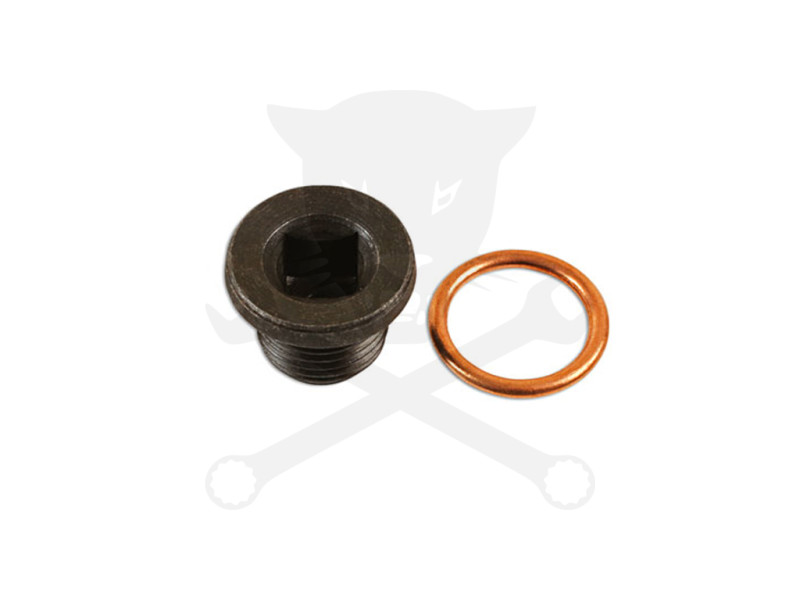 Olajleeresztő csavar készlet Nissan 1 db csavar alátéttel -