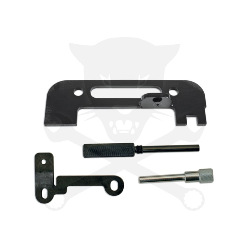 Vezérlésrögzítő készlet Renault