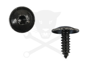 Acél rögzítőcsavar Torx kialakítású fejjel VW gépk. 10 db -